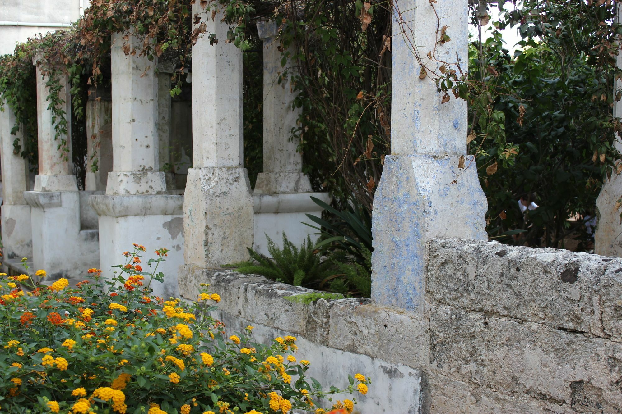 Masseria Pagani Nardò 外观 照片