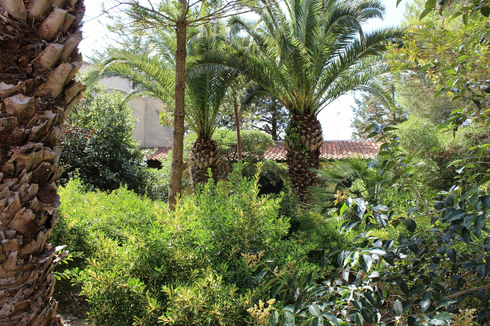 Masseria Pagani Nardò 外观 照片